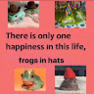 Meet your Posher, Lexi